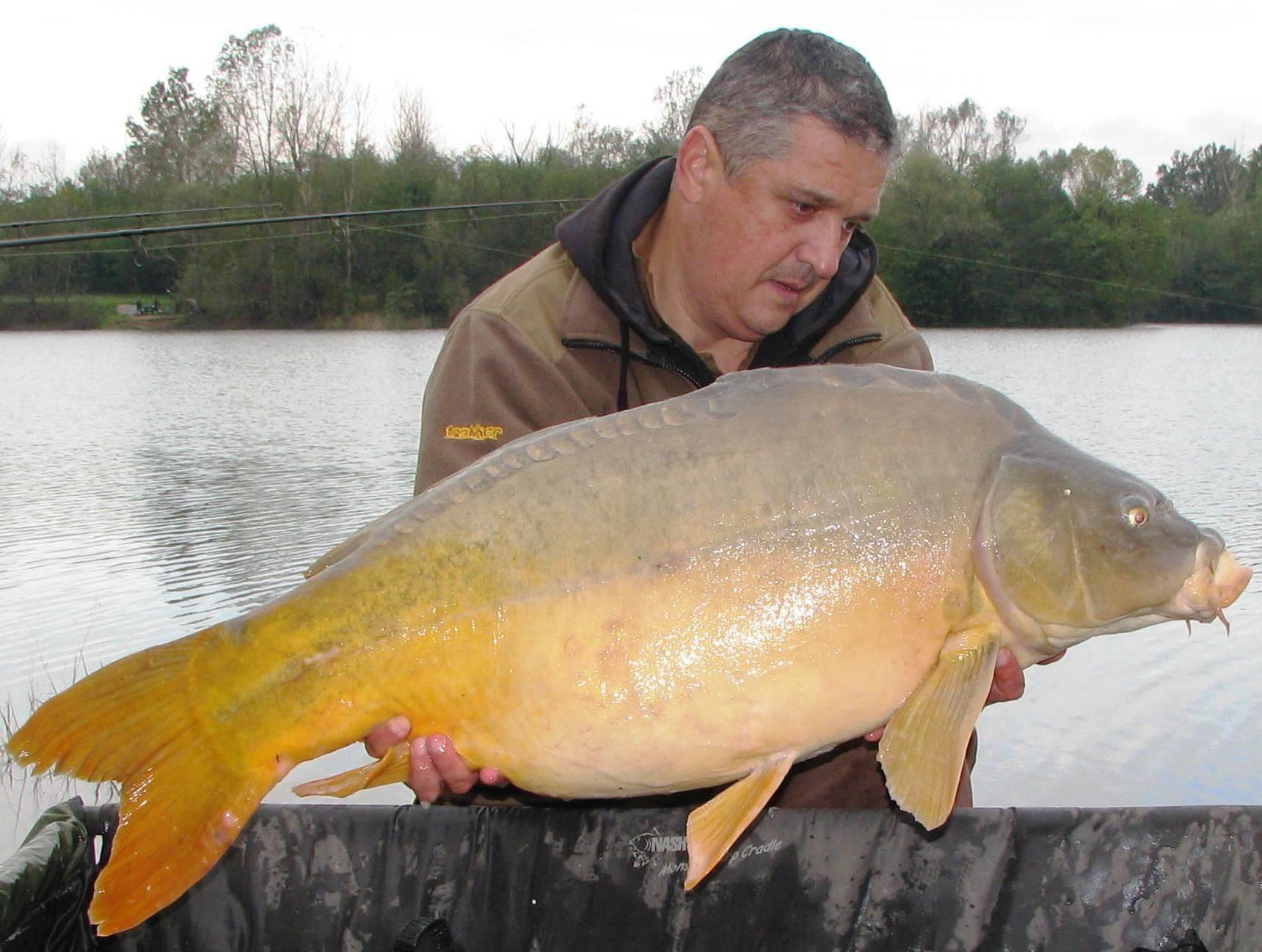 Balkan lake 25 - 31 octombrie 2014 - img1865.JPG